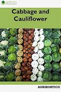 Read Cabbage and Cauliflower, written by Agrihortico CPL