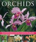 Read Orchids: An Illustrated Guide to Varieties, Cultivation and Care, With Step-by-Step Instructions and Over 150 Stunning Photographs, written by Andrew Mikolajski