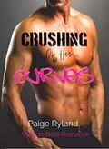Read Crushing On Her Curves : A Second Chance Bully to Boss Alpha Male & BBW High Heat Short Romance (Alpha Obsession Book 4), written by Paige Ryland