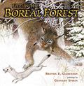 Read Life in the Boreal Forest, written by Brenda Z. Guiberson