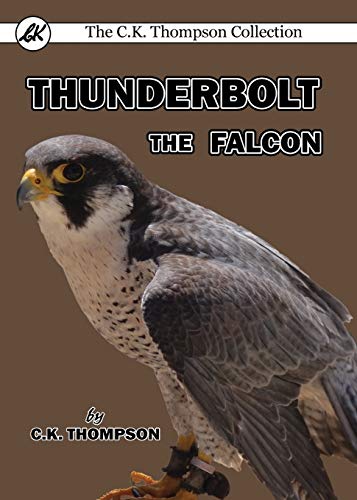Read Thunderbolt the Falcon, written by C.K. Thompson