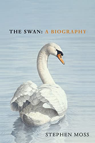 Read The Swan, written by Stephen Moss