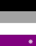Read Asexual LGBTQIA+ Pride Flag Large Notebook, written by Gomez Deluxe Designs