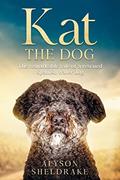 Read Kat the Dog: The remarkable tale of a rescued Spanish water dog, written by Alyson Sheldrake Read Kat the Dog: The remarkable tale of a rescued Spanish water dog, written by Alyson Sheldrake