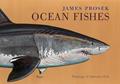 Read James Prosek: Ocean Fishes: Paintings of Saltwater Fish, written by James Prosek
