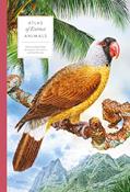 Read Atlas of Extinct Animals (Large Encyclopedias), written by Radek Maly Read Atlas of Extinct Animals (Large Encyclopedias), written by Radek Maly