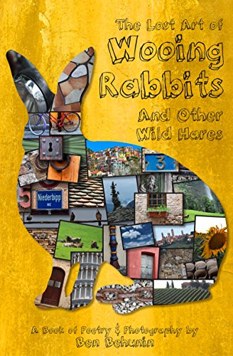 Read The Lost Art of Wooing Rabbits and Other Wild Hares, written by Ben Behunin