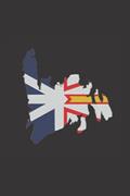 Read Newfoundland Flag: Lined Notebook, Newfie, Journal, Diary, Newfoundlander, written by Krista Price