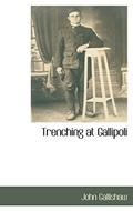 Read Trenching at Gallipoli: A Personal Narrative of a Newfoundlander With the Illfated Dardanelles Expedition, written by John Gallishaw