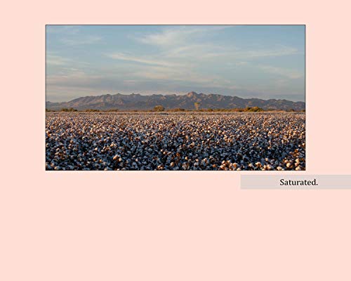 Read Saturated, written by Zachery Weston