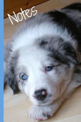Read Border Collie Puppy Notebook - Blue Merle Border Collie Lined Notepad - Journal - Diary - Great Gift for Dog Lovers, written by S Hartshorn