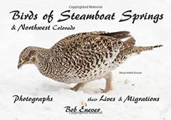 Birds of Steamboat Springs &Northwest Colorado: Photographs their Lives & Migrations, written by Bob Enever