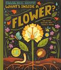 Read What's Inside A Flower?: And Other Questions About Science & Nature, written by Rachel Ignotofsky