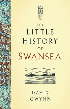 The Little History of Swansea, written by David Gwynn