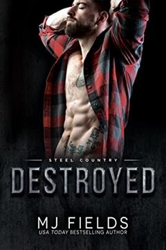 Destroyed: Falcon Brothers (Steel Country Book 2), written by MJ Fields