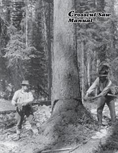 Crosscut Saw Manual, written by United States Department of Agriculture; Forest Service Technology & Development Program
