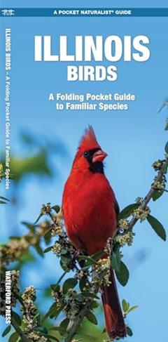 Illinois Birds: A Folding Pocket Guide to Familiar Species (Nature Observation North America), written by James Kavanagh Waterford Press; Waterford Press Waterford Press