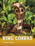 Read King Cobras (Animals), written by Jaclyn Jaycox
