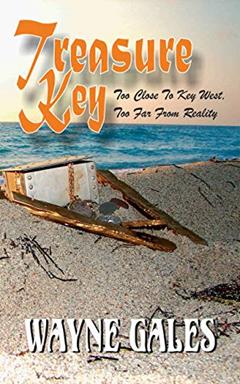 Treasure Key (A Bric Wahl Mystery Book 1), written by Wayne Gales