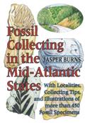Read Fossil Collecting in the Mid-Atlantic States: With Localities, Collecting Tips, and Illustrations of More than 450 Fossil Specimens, written by Jasper Burns