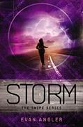 Read Storm (Swipe Series), written by Evan Angler
