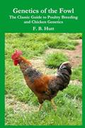 Read Genetics of the Fowl: The Classic Guide to Chicken Genetics and Poultry Breeding, written by F B Hutt