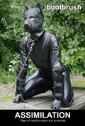 Read Assimilation: Tales of Transformation and Surrender, written by bootbrush