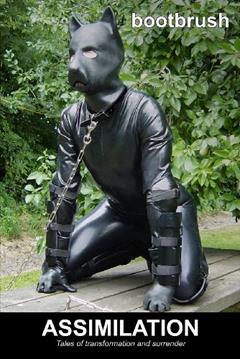 Assimilation: Tales of Transformation and Surrender, written by bootbrush