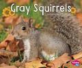 Read Gray Squirrels (Woodland Wildlife), written by G.G. Lake