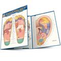 Read Reflexology QuickStudy Laminated Reference Guide (QuickStudy Academic), written by Vincent Perez