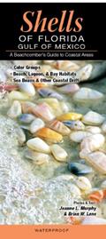 Read Shells of Florida-Gulf of Mexico: A Beachcomber's Guide to Coastal Areas, written by Jeanne L. Murphy and Brian W. Lane