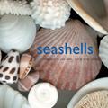 Read Seashells, written by Josie Iselin; Sandy Carlson