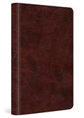 Read ESV Large Print Thinline Bible (TruTone, Mahogany): Holy Bible, English Standard Version, written by ESV Bibles