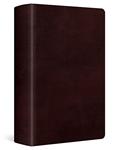 Read ESV Large Print Personal Size Bible (TruTone, Mahogany), written by ESV Bibles