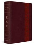 Read ESV Study Bible, Large Print (TruTone, Mahogany, Trellis Design, Indexed), written by ESV Bibles