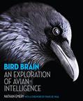 Read Bird Brain: An Exploration of Avian Intelligence, written by Nathan Emery Read Bird Brain: An Exploration of Avian Intelligence, written by Nathan Emery