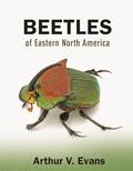 Read Beetles of Eastern North America, written by Arthur V. Evans