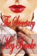 Read The Secretary (House of Lords Book 1), written by Meg Brooke