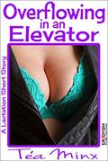 Read Overflowing in an Elevator, written by Tea Minx