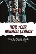 Read Heal Your Adrenal Glands: How The Adrenal Glands Work In Your Body, written by Rossie Mentis