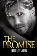 Read The Promise (Lost in New York Book 2), written by Felice Stevens