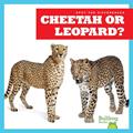Read Cheetah or Leopard? (Bullfrog Books: Spot the Differences), written by Jamie Rice