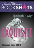 Read Exquisite (BookShots Flames, 3), written by Elizabeth Hayley