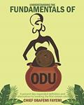 Read Understanding the Fundamentals of Odu, written by Chief Obafemi Fayemi