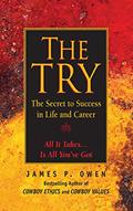 Read The Try: The Secret to Success in Life and Career, written by James P. Owen