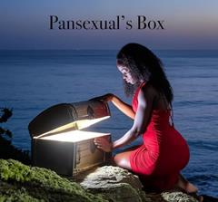 Pansexual's Box: A Journey into Indiscriminate Eroticism, written by Annecia Smith