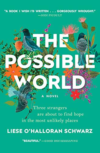 Read The Possible World: A Novel, written by Liese O'Halloran Schwarz Read The Possible World: A Novel, written by Liese O'Halloran Schwarz