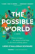 Read The Possible World: A Novel, written by Liese O'Halloran Schwarz