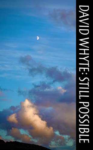 Read Still Possible, written by David Whyte
