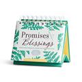 Read Promises & Blessings: Scripture Verses for Every Day of the Year - KJV Version (An Inspirational DaySpring DayBrightener), written by DaySpring